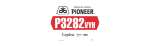 Semillas Pioneer® P3282