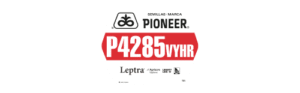 Semillas Pioneer® P4285