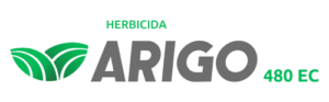 Herbicida Arigo 480 EC