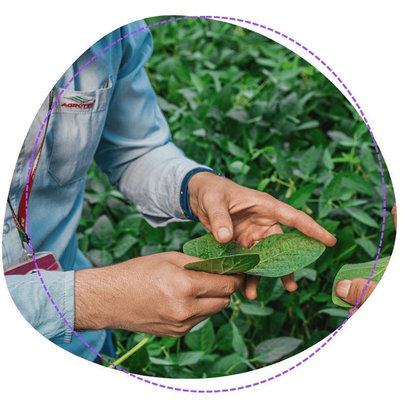 Fertilizantes MicroEssentials en Paraguay › Agrotec