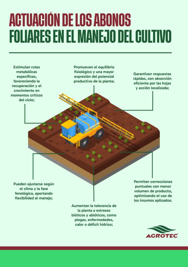 ¿Cómo se deben aplicar los abonos foliares?